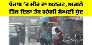 Punjab Weather News