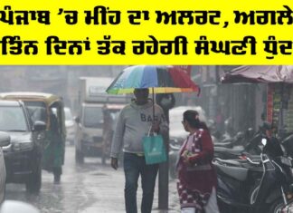 Punjab Weather News