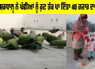 Welfare Work: ਡੇਰਾ ਸ਼ਰਧਾਲੂ ਨੇ ਪੰਛੀਆਂ ਨੂੰ ਹੁਣ ਤੱਕ ਪਾ ਦਿੱਤਾ 48 ਹਜ਼ਾਰ ਦਾ ਚੋਗਾ Welfare Work