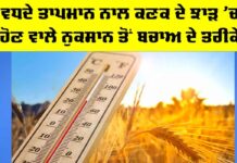 Kisan News: ਵਧਦੇ ਤਾਪਮਾਨ ਨਾਲ ਕਣਕ ਦੇ ਝਾੜ ’ਚ ਹੋਣ ਵਾਲੇ ਨੁਕਸਾਨ ਤੋਂ ਬਚਾਅ ਦੇ ਤਰੀਕੇ Wheat Crop Heat Stress