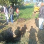 ​​Animal Welfare Punjab