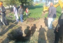 ​​Animal Welfare Punjab