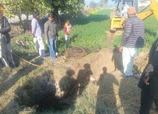 ​​Animal Welfare Punjab