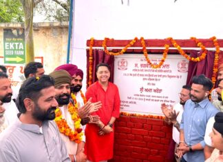 Punjab News: ਕੈਬਨਿਟ ਮੰਤਰੀ ਅਮਨ ਅਰੋੜਾ ਨੇ ਵਿਕਾਸ ਕਾਰਜਾਂ ਦੇ ਰੱਖੇ ਨੀਂਹ ਪੱਥਰ Punjab News