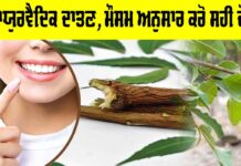 Ayurvedic Datun: ਆਯੁਰਵੈਦਿਕ ਦਾਤਣ, ਮੌਸਮ ਅਨੁਸਾਰ ਕਰੋ ਸਹੀ ਚੋਣ Ayurvedic Datun