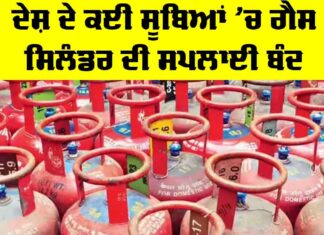 Commercial Gas Cylinder Crisis: ਦੇਸ਼ ਦੇ ਕਈ ਸੂਬਿਆਂ ’ਚ ਗੈਸ ਸਿਲੰਡਰ ਸਪਲਾਈ ਬੰਦ Commercial Gas Cylinder Crisis