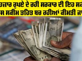 Government Scheme: 25 ਹਜ਼ਾਰ ਰੁਪਏ ਦੇ ਰਹੀ ਸਰਕਾਰ ਦੀ ਇਹ ਸਕੀਮ, ਖਾਸ ਸਕੀਮ ਤਹਿਤ ਬਚ ਰਹੀਆਂ ਕੀਮਤੀ ਜਾਨਾਂ Government Scheme