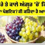 Grapes Benefits
