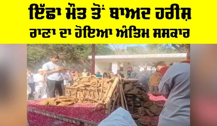 Harish Rana Euthanasia Harish Rana Euthanasia