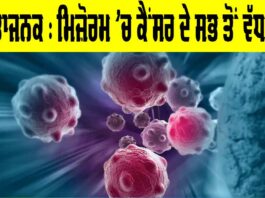 Mizoram Cancer Cases