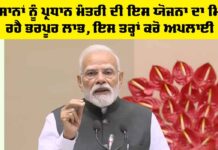 ਸਰਕਾਰ ਦੀ ਇਸ ਯੋਜਨਾ ਦਾ ਮਿਲ ਰਹੈ ਭਰਪੂਰ ਲਾਭ, ਇਸ ਤਰ੍ਹਾਂ ਕਰੋ ਅਪਲਾਈ Pradhan Mantri Fasal Bima Yojana