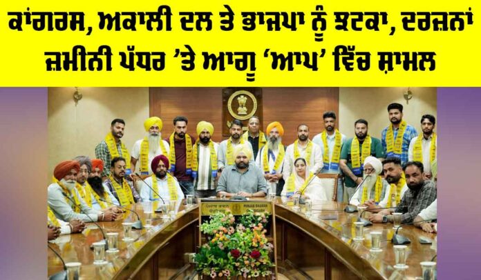 Punjab Political News Punjab Political News