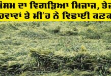 Punjab Weather Update: ਪੰਜਾਬ ’ਚ ਮੌਸਮ ਦਾ ਵਿਗੜਿਆ ਮਿਜਾਜ, ਕਿਸਾਨ ਵਰਗ ’ਤੇ ਪਿਆ ਭਾਰੀ Punjab Weather Update