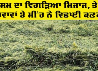 Punjab Weather Update: ਪੰਜਾਬ ’ਚ ਮੌਸਮ ਦਾ ਵਿਗੜਿਆ ਮਿਜਾਜ, ਕਿਸਾਨ ਵਰਗ ’ਤੇ ਪਿਆ ਭਾਰੀ Punjab Weather Update