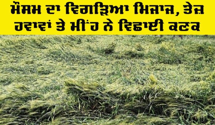 Punjab Weather Update Punjab Weather Update