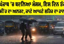 Punjab Weather Update