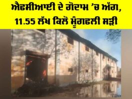 ਐਫਸੀਆਈ ਦੇ ਗੋਦਾਮ ’ਚ ਅੱਗ, 11.55 ਲੱਖ ਕਿਲੋ ਮੂੰਗਫਲੀ ਸੜੀ Rajasthan News