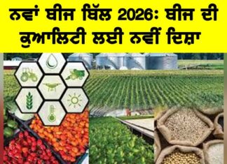 Seed Bill 2026