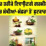 Mosquito Control Tips