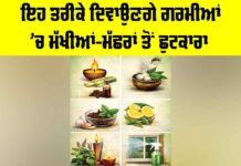 Mosquito Control Tips