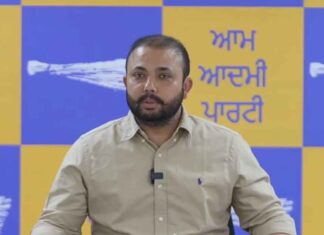 ਆਪ ਯੂਥ ਵਿੰਗ ‘ਸ਼ਾਨਦਾਰ 4 ਸਾਲ, ਭਗਵੰਤ ਮਾਨ ਦੇ ਨਾਲ’ ਮੁਹਿੰਮ ਨੂੰ ਹਰ ਪਿੰਡ ਤੇ ਵਾਰਡ ਤੱਕ ਲੈ ਕੇ ਜਾਵੇਗਾ: ਪਰਮਿੰਦਰ ਗੋਲਡੀ